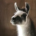 Koselig Dyregard I 营地 *