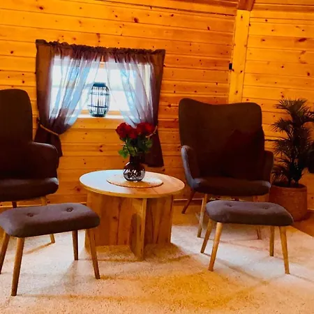 Koselig Dyregard I * 特罗姆瑟