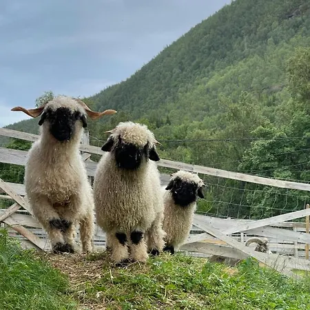 Koselig Dyregard I *