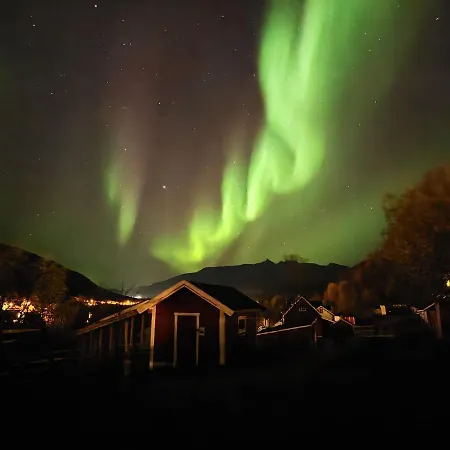 Campeggio Koselig Dyregard I *