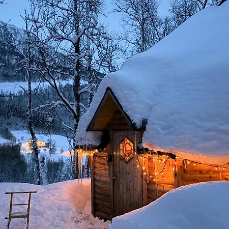 Koselig Dyregard I Kamp alanı *