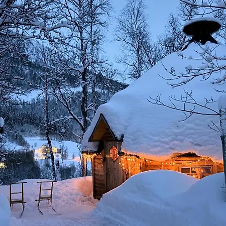 Koselig Dyregard I *